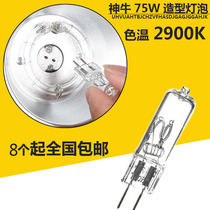 Shen Niu 75W modeling bulb 150 160 200 250W flash special shooting type photography light pin