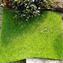 Simulation Moss Micro Landscape Diy Lawn Bonsai Green Planting Wall Paved wall Paved Turf for artificial plants Decorative Green Moss