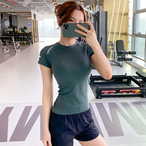 Sports Suit Woman Blouse Summer Tight Fit Quick Dry Short Sleeve T-Shirt Woman Sashimi Running Shorts Fashion Yoga Fitness Suit