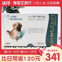 3 big favorite dogs in vivo and in vitro anthelmintics 40-80kg large dogs repelling dogs with 2ml 240mg