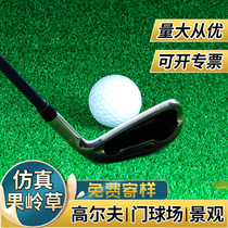 (Geling Grass) Gate Court lawn carpet fake artificial plastic mat outdoor decoration green artificial turf simulation