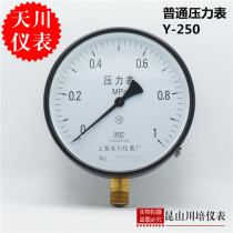 Shanghai Tianchuan instrument large surface ordinary pressure gauge gas-water pressure gauge Y-250 full specification