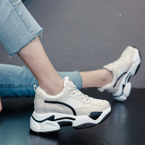 Daddy shoes women 2020 spring new net red surface breathable thick sole Joker Korean version of sports ins tide women shoes X0307