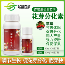 Excellent flowering strawberry special for promoting flower bud differentiation promoting fruit and promoting growth pollination fine powder seedling enhancer