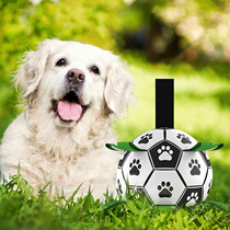 Dog ball side pasture toy Kim mullabrador kirkki training dog special ball pet ball dog toy pet supplies