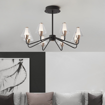 Modern simple bedroom chandelier Black art creative remote control dimming color temperature stepless dimming Nordic living room