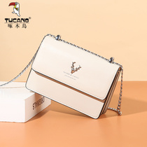 Woodpecker womens bag 2021 new fashion small square bag net red shoulder bag girl bag ins shoulder chain bag