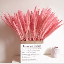 Pink Reed ins dried flower ornaments dried flower bouquets home furnishings landing Pu reeds Net red shooting props