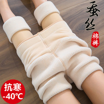 Ultra-thick silk underpants woman warm outside wearing winter garnter thickened light leg deity Northeastern special thick integrated cotton pants