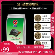 Dolphin turtle food Turtle grass turtle yellow-throated stone money turtle Water turtle food Yellow edge closed shell turtle yellow frontal saw edge semi-water turtle food