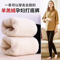 Pregnant women leggings winter pants plus plus velvet women autumn and winter northeast cotton pants to keep warm