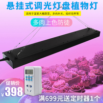 Chen Hua LED plant growth fill light greenhouse tissue culture light meat fill light adjustable full spectrum plant light