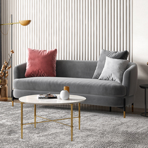 Tiantan furniture sofa living room modern light luxury minimalist small apartment Net red three four people cloth art sofa J