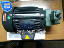 Hydraulic system motor pumps group oil pump unit 1HP VP12 VP12 VP15 VP20 VP20 pump