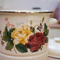 搪瓷加高汤锅肥龙珐琅26cm家用双层双耳蒸锅大容量电磁炉燃气通用