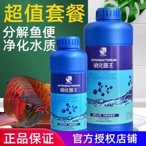Crazy Stone Nitrochemicals Bacteria Water Quality Stabilizer Drops Clear Agents Comprehensive Conditioner Germicidal Water Fish Tank Water Purification