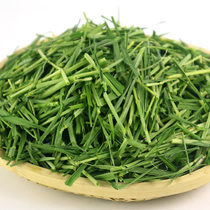 Dragon cat exclusive 21 years new high fiber barley grass section 500g ti Moshe grass dragon cat food grass feed 3 kilos