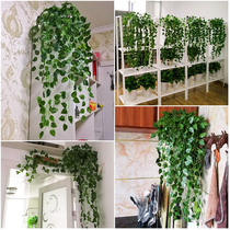 Simulation Plant Hanging Basket Fake Flowers Vines Strips Plastic Green Leaves Green Lori Leaves Indoor Wall-mounted Decoration Vines