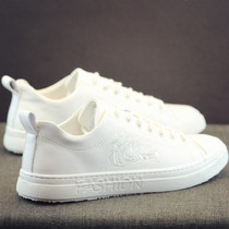 Tide brand small white shoes autumn mens shoes 2019 new trendy shoes sports casual shoes Korean version of the trend Joker breathable board shoes