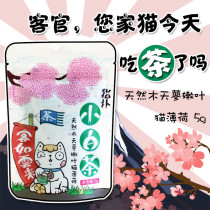 Cat puff small white tea Wood Polygonum tender leaf catnip hair removal ball digestion natural cat snack cat grass 5g
