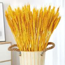 Natural Wheat Ears Dry Flowers Open Barley Fields Garden Decoration Gifts Shooting Props Rice Ears Dry Flowers Bouquet Real Flowers