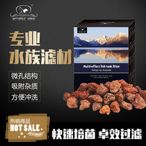 Australian octopus family selected volcanic rock fish tank Luo Han fish color parrot volcanic rock filter bacteria to increase landscape