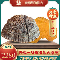 (More than 30 years) authentic Tibetan wild Mulberry Mulberry Linzhi Ganoderma lucidum hair a piece of more than 800 grams