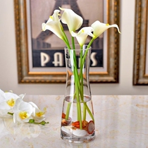 Imitation crystal glass vase Non-fragile vase Transparent flower arrangement Rich bamboo water plant plastic planting cup