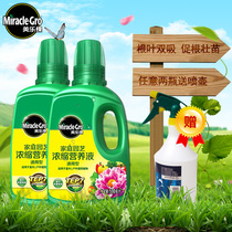 Melaleuca nutrient solution Plant universal fortune tree fertilizer Flower pot household flower fertilizer Hydroponic green dill liquid fertilizer