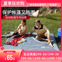 Pastoral Flute Outdoor Camping Park Grass Sandy Picnic Damp hexagonal ground mat 2 3 4 people tent ground water resistant