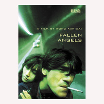 Movie]Fallen Angel Wong Kar-wai Dawn Reis Yang Cai-anne Jin Chengwu DVD D9