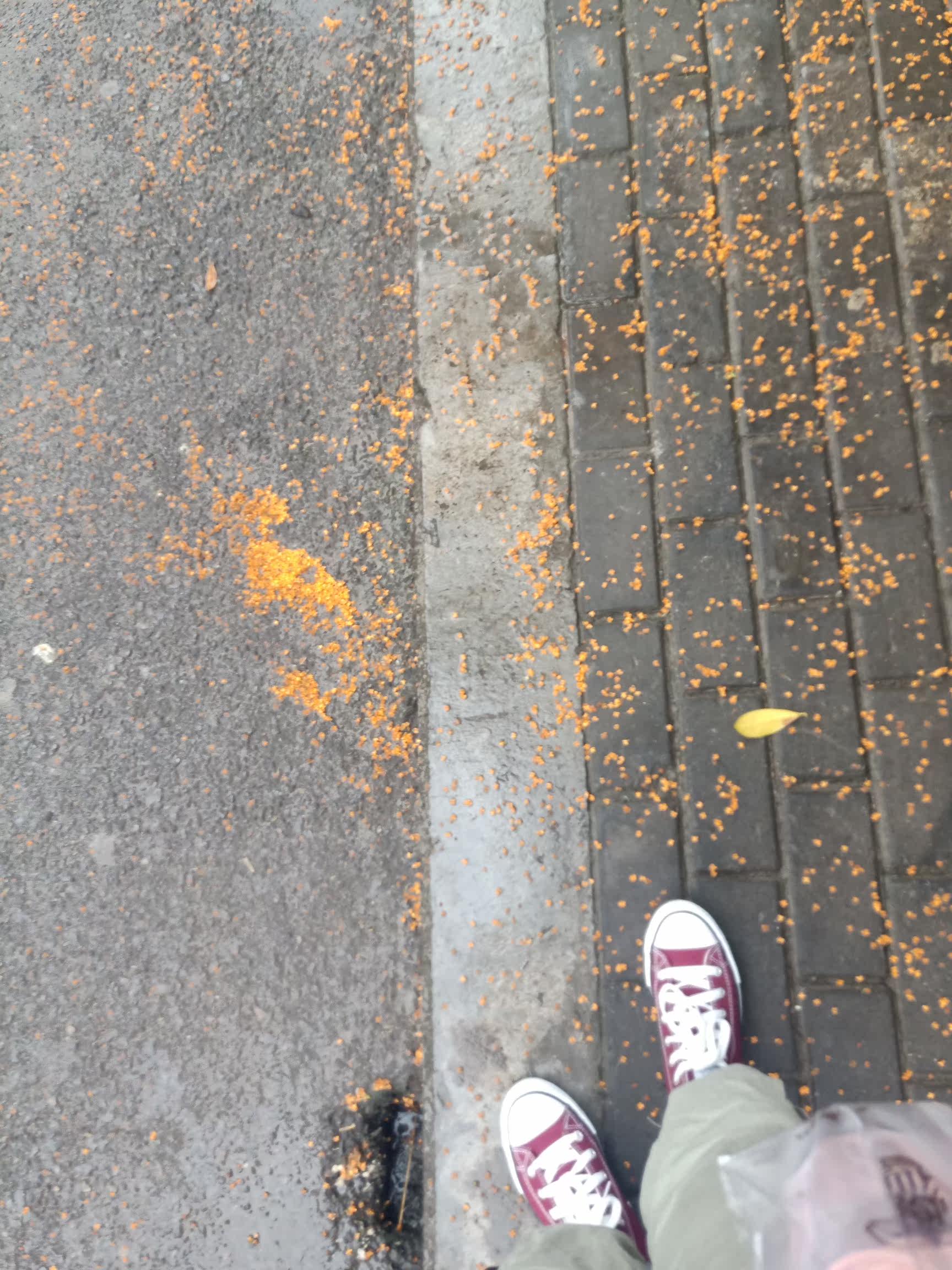 Фото отзыва