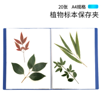 Plant specimen clip specimen production and preservation display collection folder A4 paper 20 pages preservation clip tree leaf clip biological experimental equipment instrument teaching aids laboratory supplies