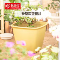 Love Rieth Deep Type Large Flower Pots Long Square Indoor outdoor terrace Green plant Multi-meat potted plant Vegetable Basin Alice