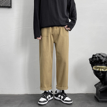 Spring and autumn casual pants mens ins Hong Kong style Japanese loose straight overalls pants Korean trend Joker wide leg trousers