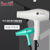 Felix Fire Phoenix 5800A new ultra-quiet hair dryer high temperature blow roll shape ultra light hair dryer