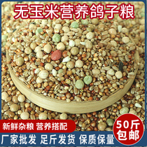 50 catties of pigeon food without corn pigeon food nutrition feed bird food carrier pigeon ornamental pigeon meat pigeon young pigeon old pigeon food