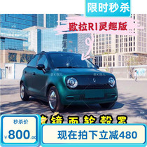 Special Euler black cat white cat electroplated mirror retro chrome wheel cover hubcap 15 inch spot