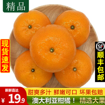 Australian imported citrus 5kg fresh Australian sweet orange orange fruit Ao Shunfeng