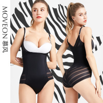 < Clear Barn > Mousse Tights And Sexy Conjoined Underbelly Collection With Classic Zebra Stripes