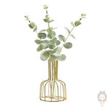 Nordic ins Wind office table dried flower glass hydroponic green plant arrangement desktop decoration creative Vase ornaments