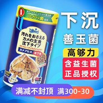 Japanese Hikari high enough egg turtle feed good jade fungus yellow head Musk pig nose turtle sinking tortoise grain