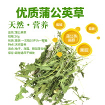 Natural big leaf dandelion rabbit ChinChin summer health grass 50g Hay