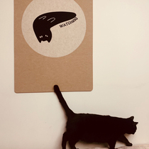 Abstract cat decorative wall sticker felt board cork board colored felt board Photo Wall kindergarten work exhibition message board background wall sticker bulletin board display