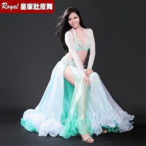 Belly dance fairy costume 2020 new set of costumes female high-end sexy long dress oriental dance performance costume
