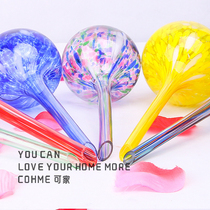 Export best-selling European and American glass ball automatic flower watering device multi-meat seepage water drip device drip irrigation device lazy tool