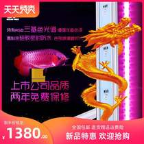 OF Arowana lamp LED lamp Red Arowana lamp Golden Arowana lamp Special lamp Royal Dragon temple fish tank lamp Aquarium lighting lamp