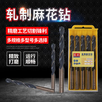 Dongcheng accessories High speed steel straight shank rolling twist drill set Construction impact drill Alloy drill ten sets
