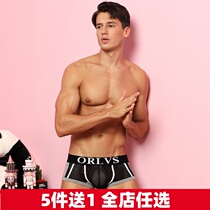 Mens sexy low-waisted four-corner underwear translucent mesh breathable and comfortable mens boxer pants U-convex design