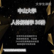 Sun Yat-sen University human anatomy 36 lectures HD video course teaching college students